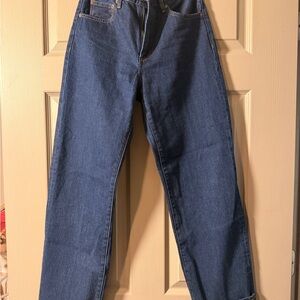 Denim Forum Aritzia Deep Blue Straight Jeans